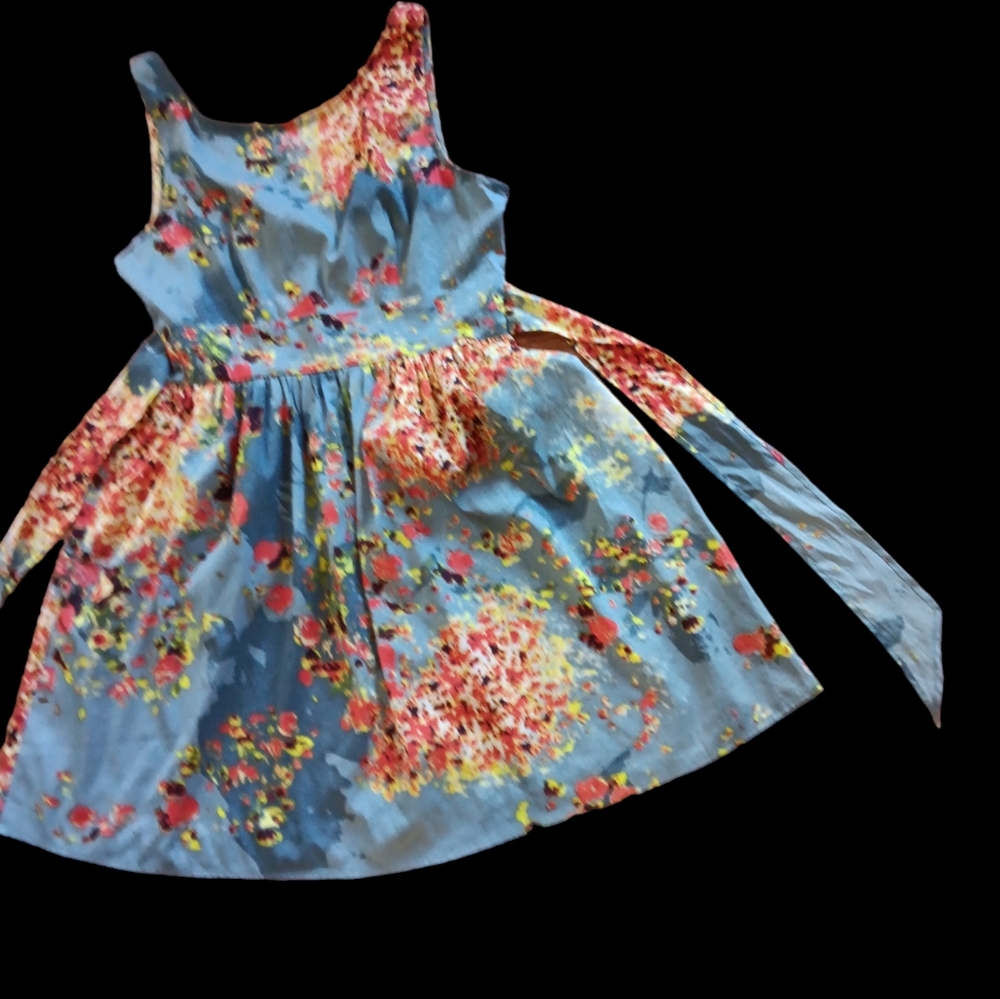 Band‎ of Gypsies dress gorgeous faux silk floral print a-line dress Size M - Picture 2 of 7